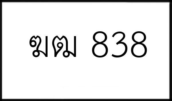 ฆฒ 838